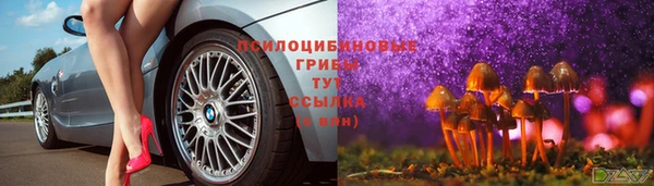 мет Арсеньев