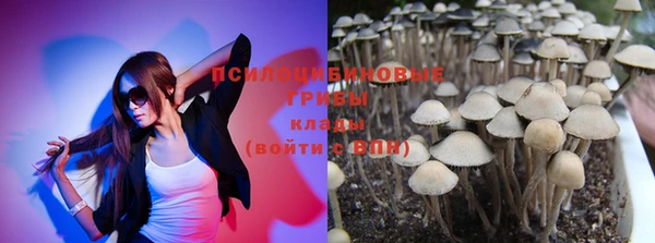 мет Арсеньев