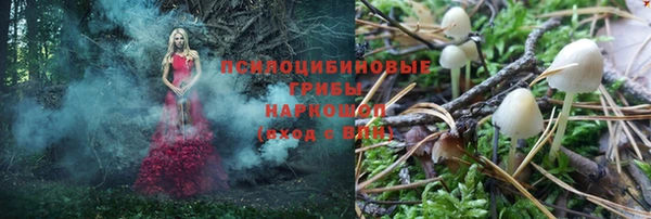 apvp Аркадак