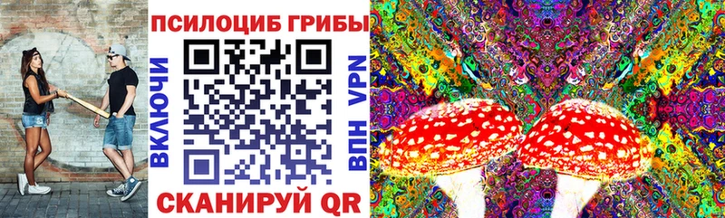 Псилоцибиновые грибы MAGIC MUSHROOMS  сколько стоит  Змеиногорск 